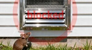 Mouse Proof Clothes Dryer Vent